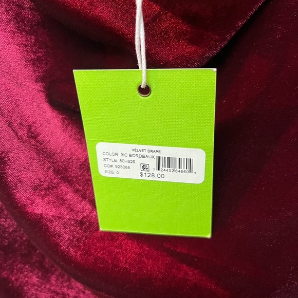 Sam Edelman Deep Red Velvet Dress - Picture 4 of 6